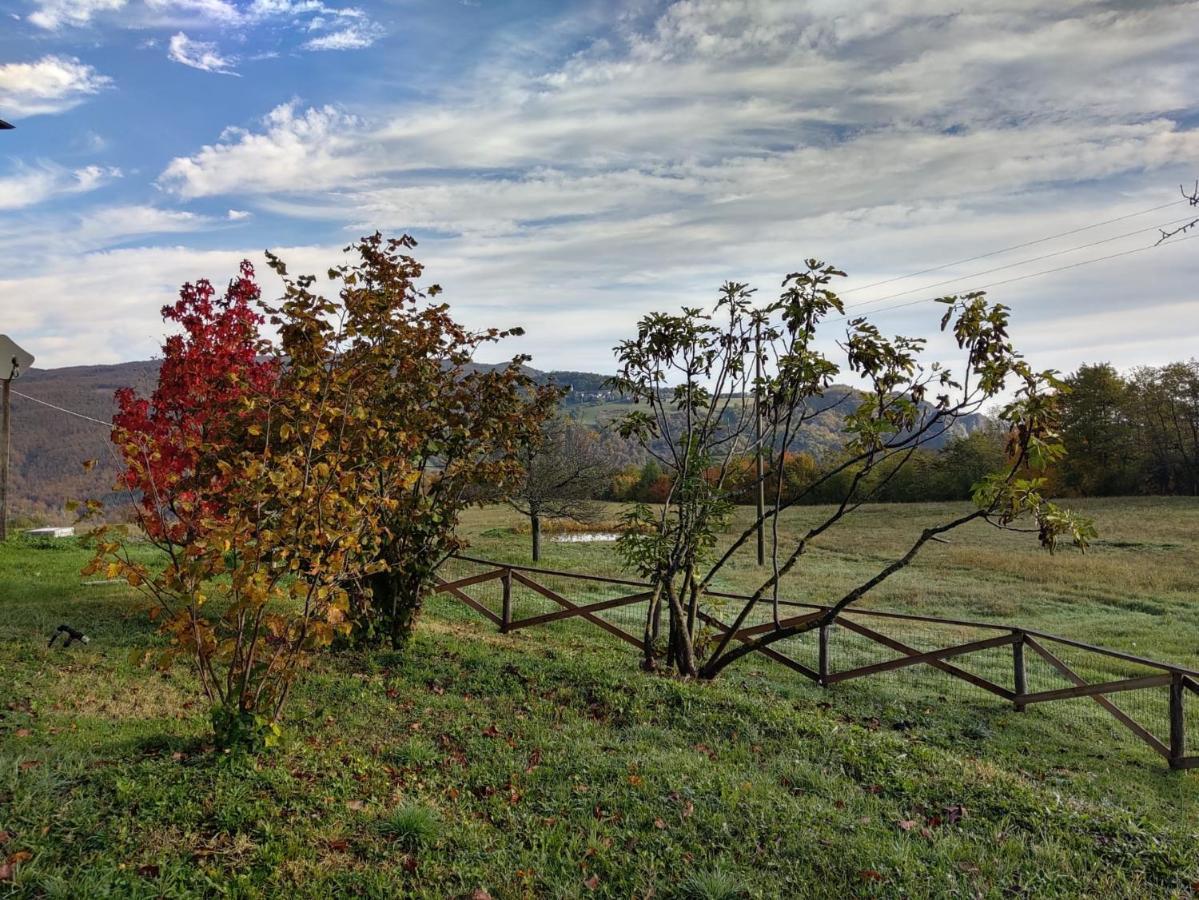 "Borgo Gerbina" Agriturismo & Azienda Agricola Sozzi Extérieur photo