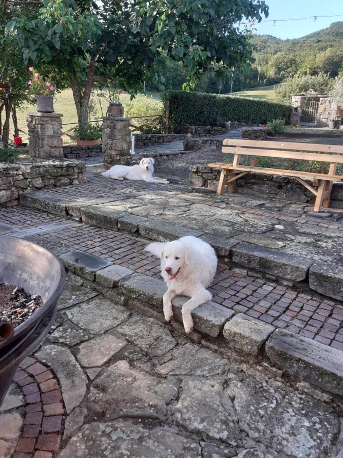 "Borgo Gerbina" Agriturismo & Azienda Agricola Sozzi Extérieur photo